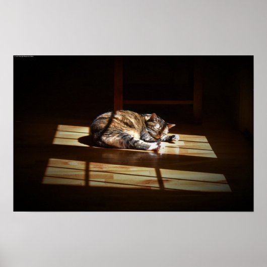 Trage dagen, poster (Voorkant)