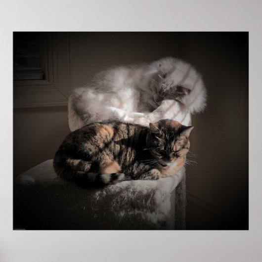 Trage dagen, poster (Voorkant)