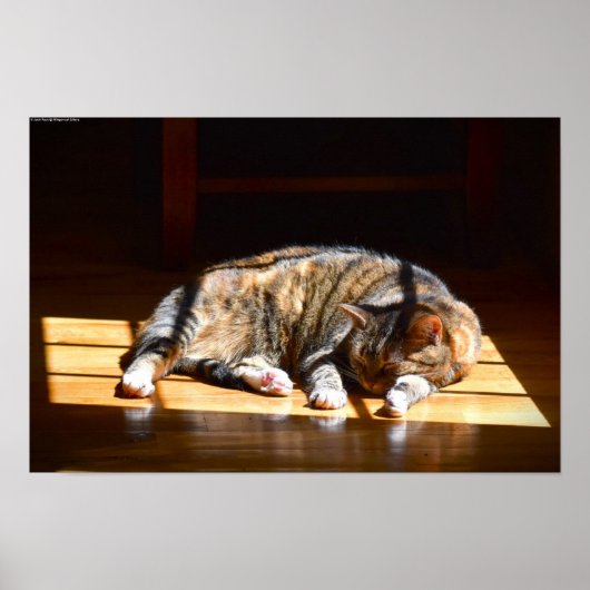 Trage dagen, poster (Voorkant)