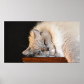 Trage dagen, poster (Voorkant)