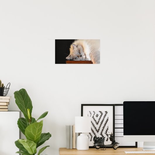 Trage dagen, poster (Thuiskantoor)