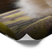 Trage dagen, poster (Hoek)