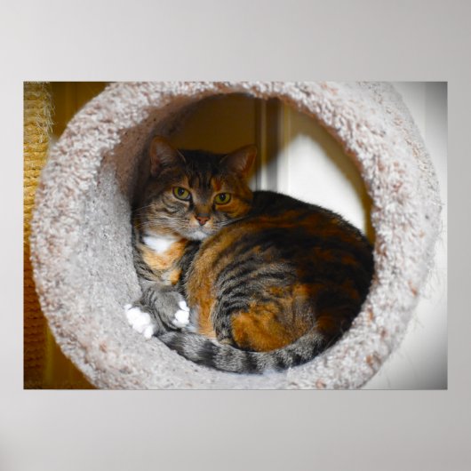 Trage dagen, poster (Voorkant)