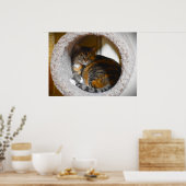 Trage dagen, poster (Keuken)