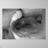 Trage dagen, poster (Voorkant)