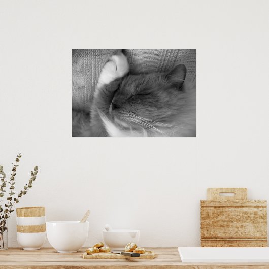 Trage dagen, poster (Keuken)