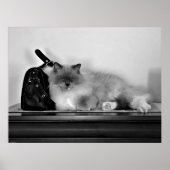 Trage dagen, poster (Voorkant)