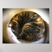 Trage dagen, poster (Voorkant)