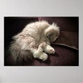 Trage dagen, poster (Voorkant)