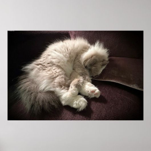 Trage dagen, poster (Voorkant)