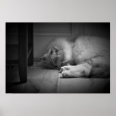 Trage dagen, poster (Voorkant)