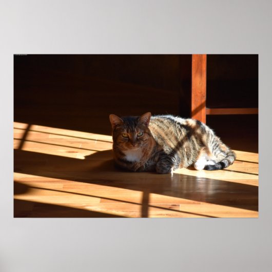 Trage dagen, poster (Voorkant)