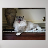 Trage dagen, poster (Voorkant)