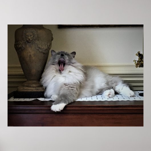 Trage dagen, poster (Voorkant)