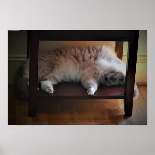 Trage dagen, poster (Voorkant)