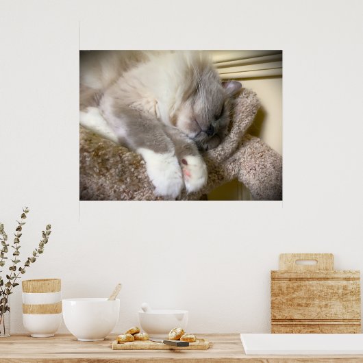 Trage dagen, poster (Keuken)