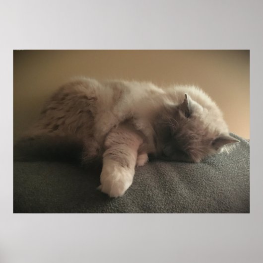 Trage dagen, poster (Voorkant)