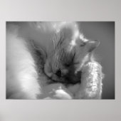 Trage dagen, poster (Voorkant)