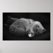 Trage dagen, poster (Voorkant)