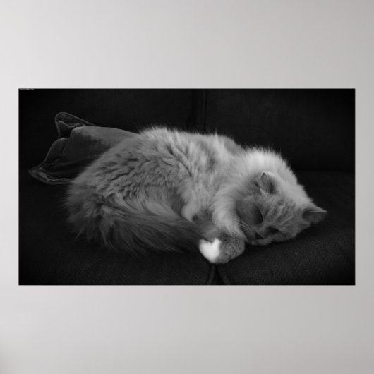 Trage dagen, poster (Voorkant)