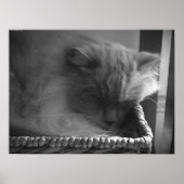 Trage dagen, poster (Voorkant)