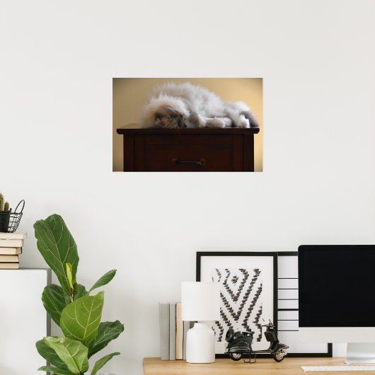 Trage dagen, poster (Thuiskantoor)