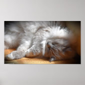 Trage dagen, poster (Voorkant)