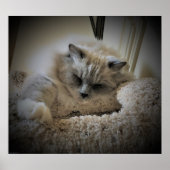 Trage dagen, poster (Voorkant)