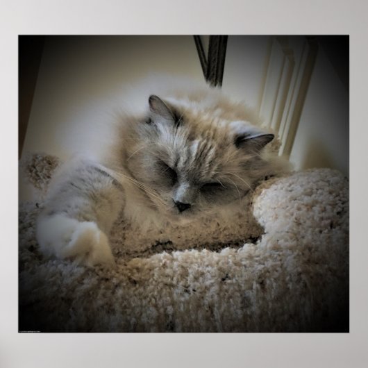 Trage dagen, poster (Voorkant)