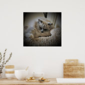 Trage dagen, poster (Keuken)