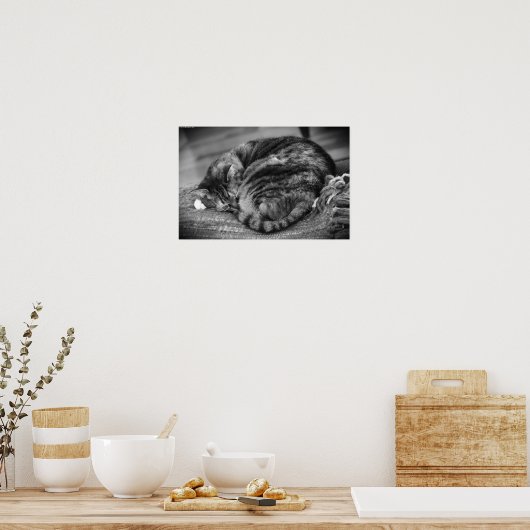 Trage dagen, poster (Keuken)