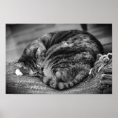 Trage dagen, poster (Voorkant)