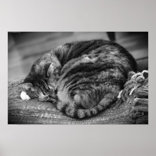 Trage dagen, poster (Voorkant)