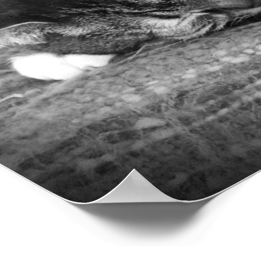 Trage dagen, poster (Hoek)