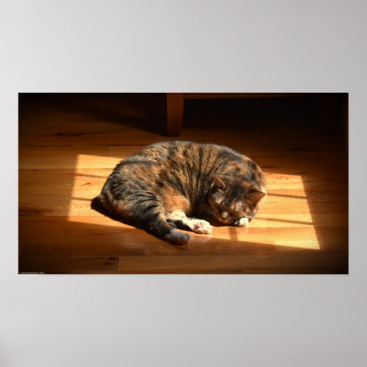 Trage dagen, poster (Voorkant)