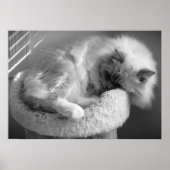 Trage dagen, poster (Voorkant)