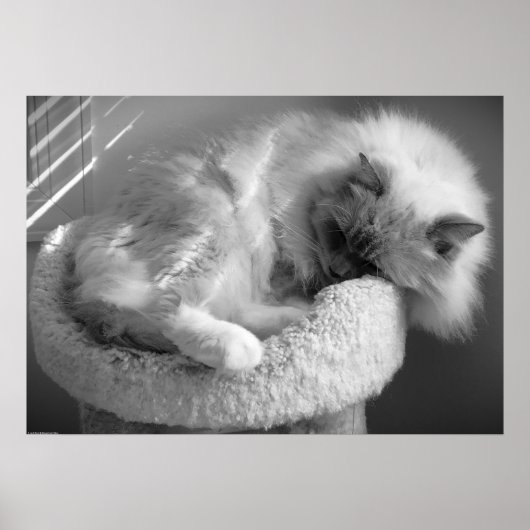 Trage dagen, poster (Voorkant)