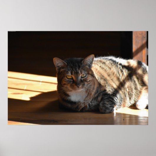 Trage dagen, poster (Voorkant)