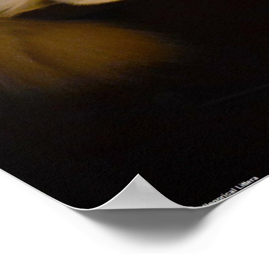 Trage dagen, poster (Hoek)