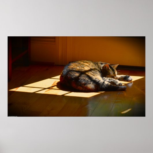 Trage dagen, poster (Voorkant)