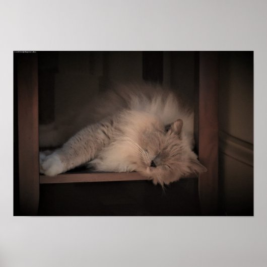 Trage dagen, poster (Voorkant)