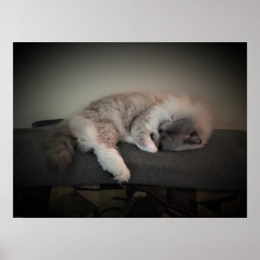 Trage dagen, poster (Voorkant)