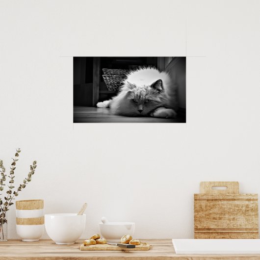 Trage dagen, poster (Keuken)