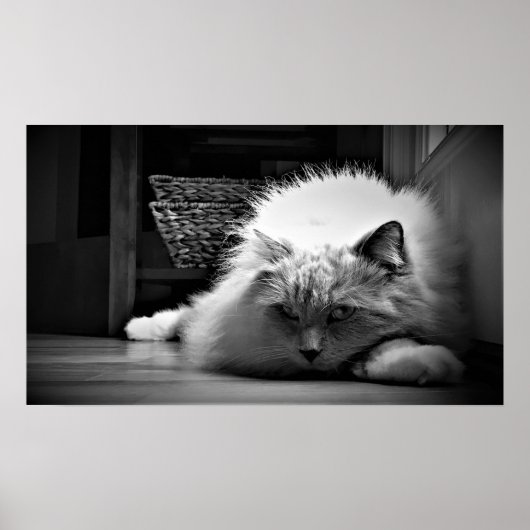 Trage dagen, poster (Voorkant)