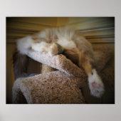 Trage dagen, poster (Voorkant)