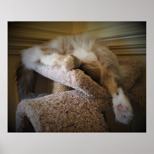 Trage dagen, poster (Voorkant)