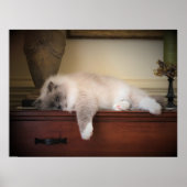 Trage dagen, poster (Voorkant)