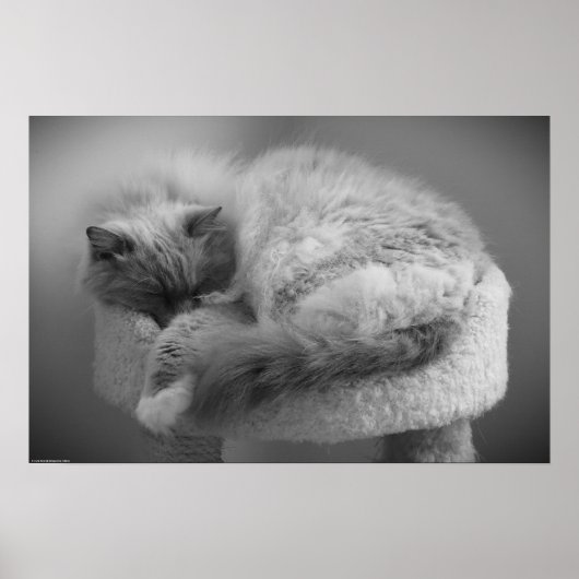 Trage dagen, poster (Voorkant)