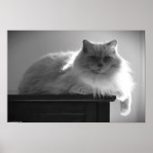 Trage dagen, poster (Voorkant)