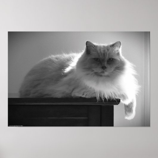 Trage dagen, poster (Voorkant)